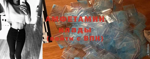 индика Лихославль